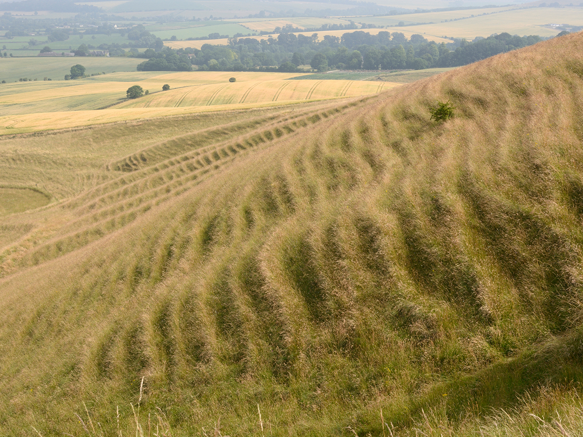 Countryside near Calne Wiltshire