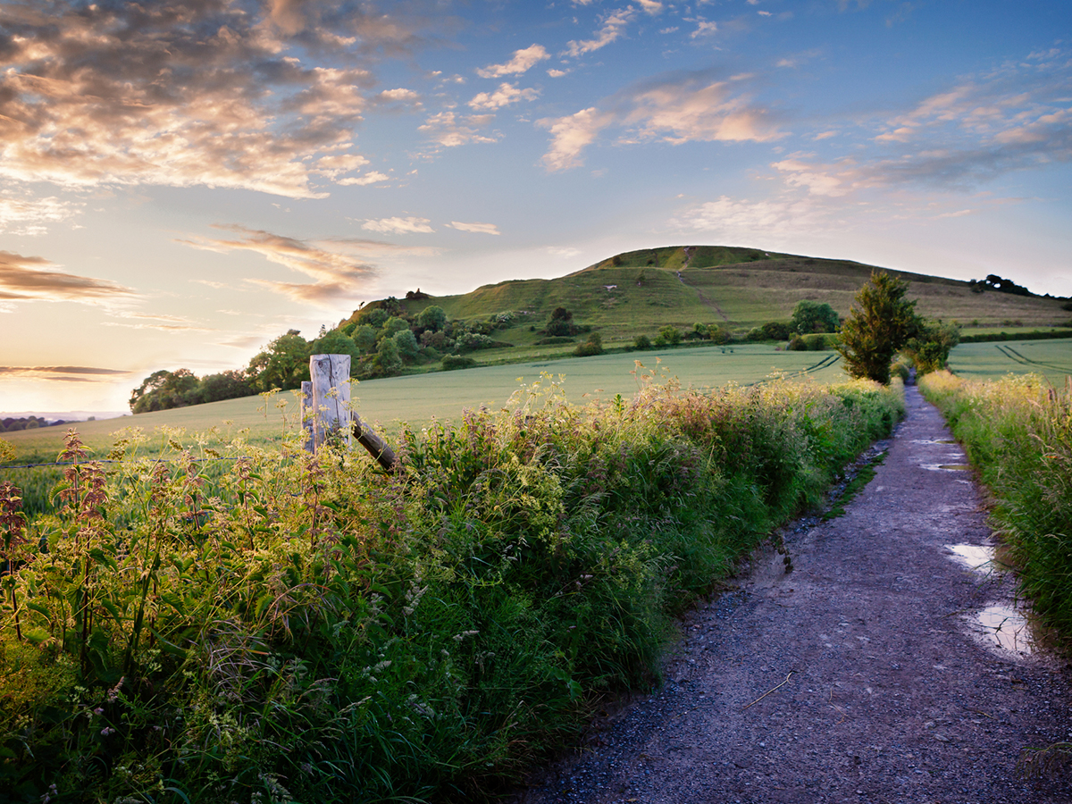 Clay Hill in Warminster