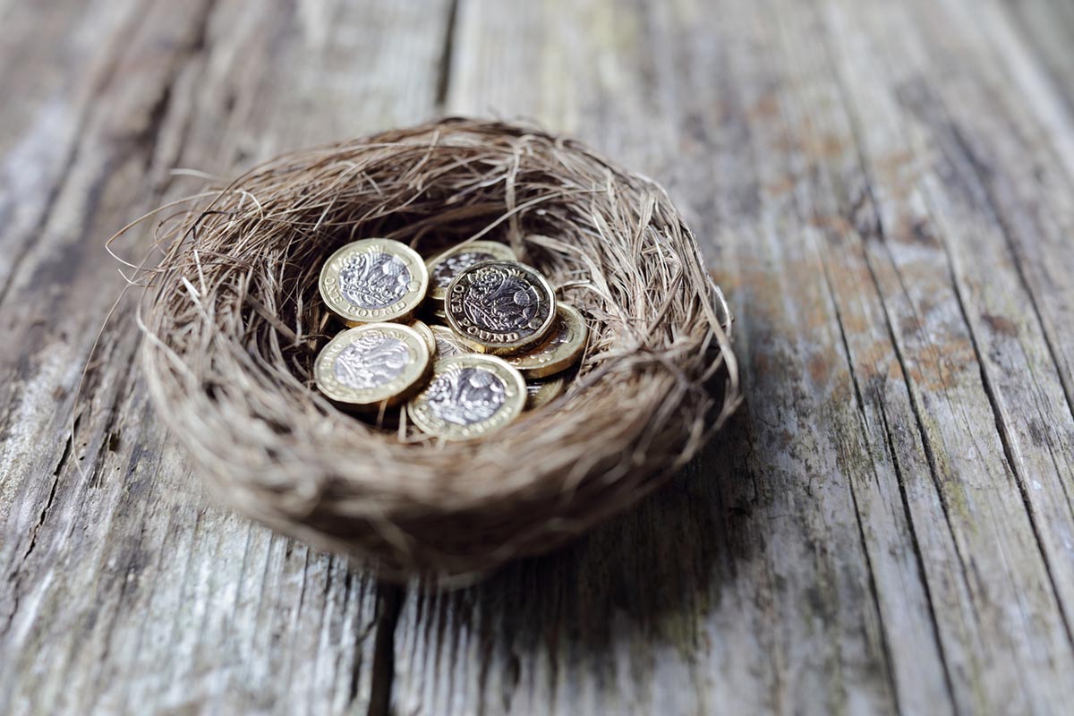 Small bird nest containing pound coins